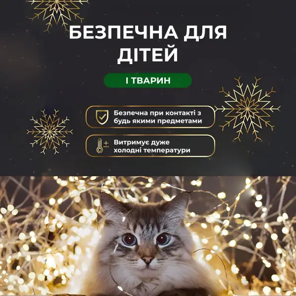 1733036y-4-600x600.webp