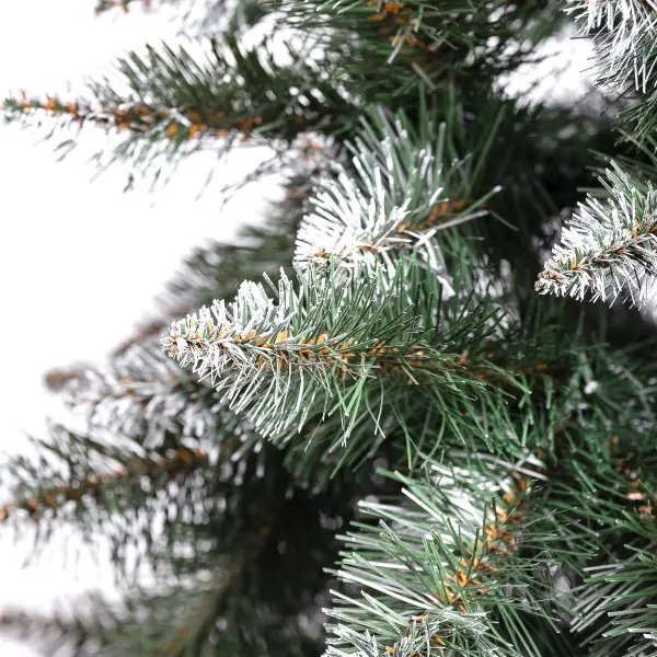 c.k_k_2m_5-600x600.webp