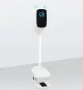 Відеоняня на прищіпці Wifi C1