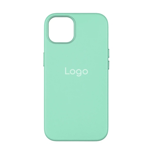 Cover Leather Case WCMS +MagSafe Box IPhone 13 light green